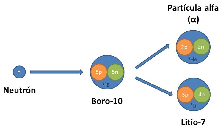 BNCT