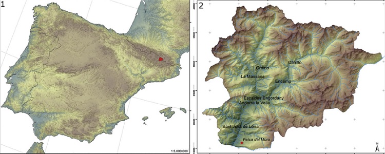 feixamoro plano