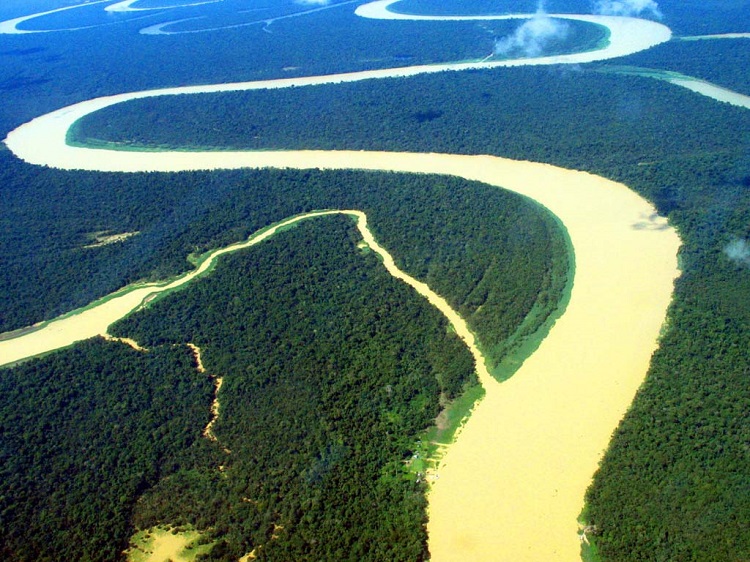 foto amazonas